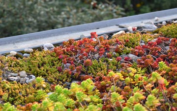 the cost of St Peter South Elmham green roof installation