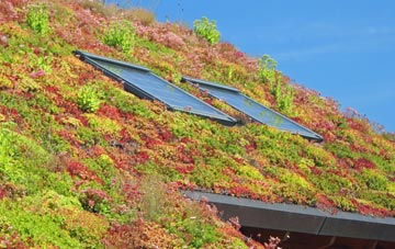 St Peter South Elmham living roof systems
