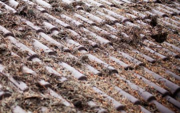 St Peter South Elmham roof cleaning companies