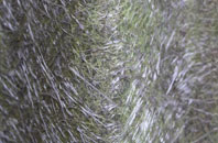 St Peter South Elmham fibreglass roof work